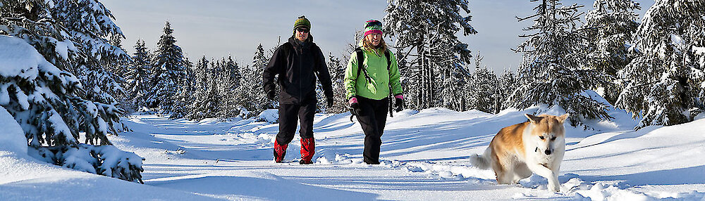 Chalet Wellness